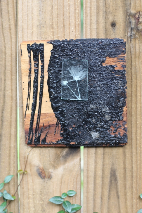 Mimosa Enverre on Reclaimed Floor Tile by Caitlin Waugh | Glass, plant, reclaimed wood, flooring glue, cut tacks
Mimosa Enverre on Reclaimed Floor Tile
